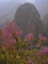 A spearhead-like mountain sits right in the middle of the very deep valley on one side of Machu Picchu.